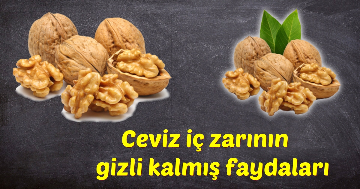 Ceviz iç zarının gizli kalmış faydaları Gonca